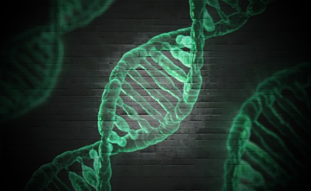 dna dna