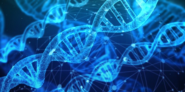 dna dna