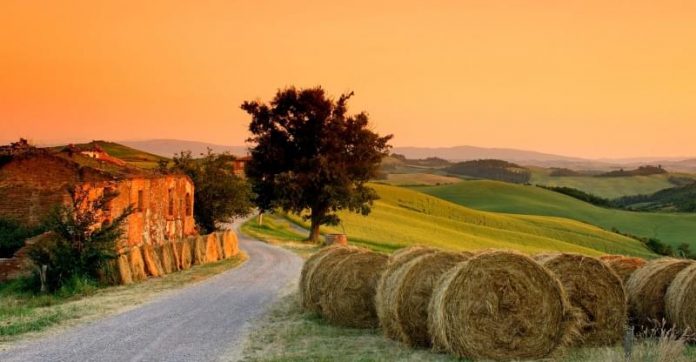 agriturismi-in-puglia