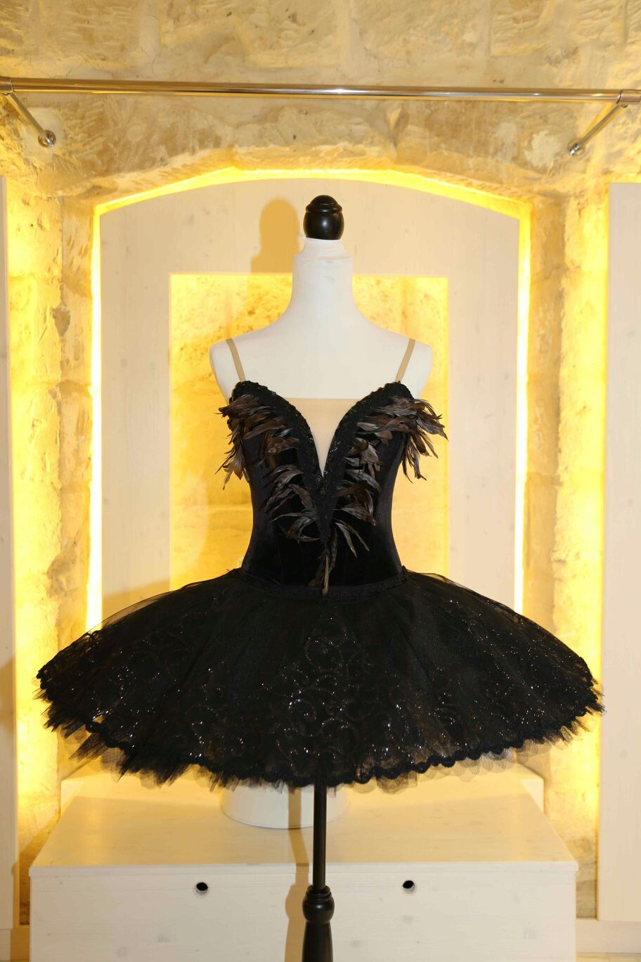 Il cigno nero