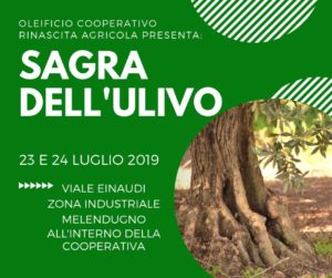 sagra-dellulivo-300x251