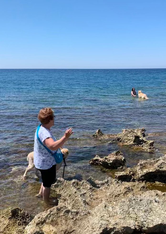 spiaggia cani Lu Rinaru_2