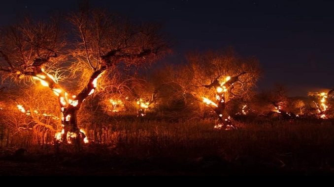 incendio-sito-678x381