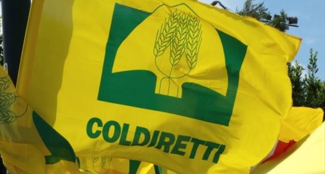 coldiretti-640x343