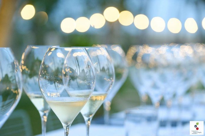 Champagne 2