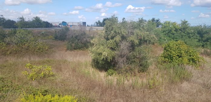 IMG-20191004-WA0014