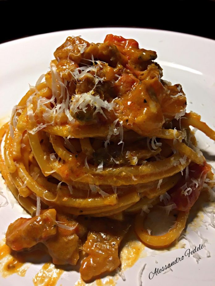 Amatriciana amatriciana