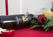Cinque vini Conti Zecca da far trovare sotto l’Albero