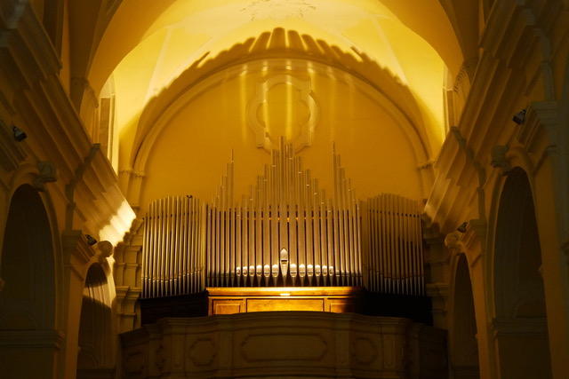 Organo Arnesano