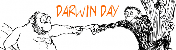 ddbanner17