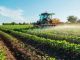 Agricoltura: massima attenzione del MIPAAF sugli strumenti per il sostegno economico alle imprese post Covid