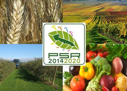 psr-2014-202010