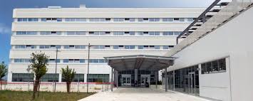 sede gentile