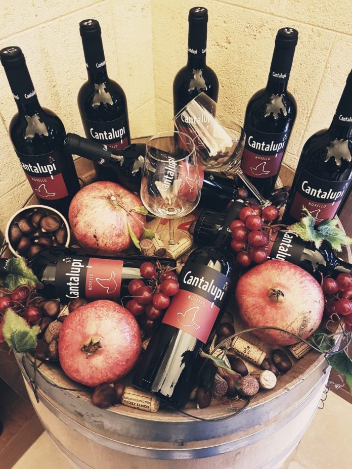Cantalupi Novello (2)