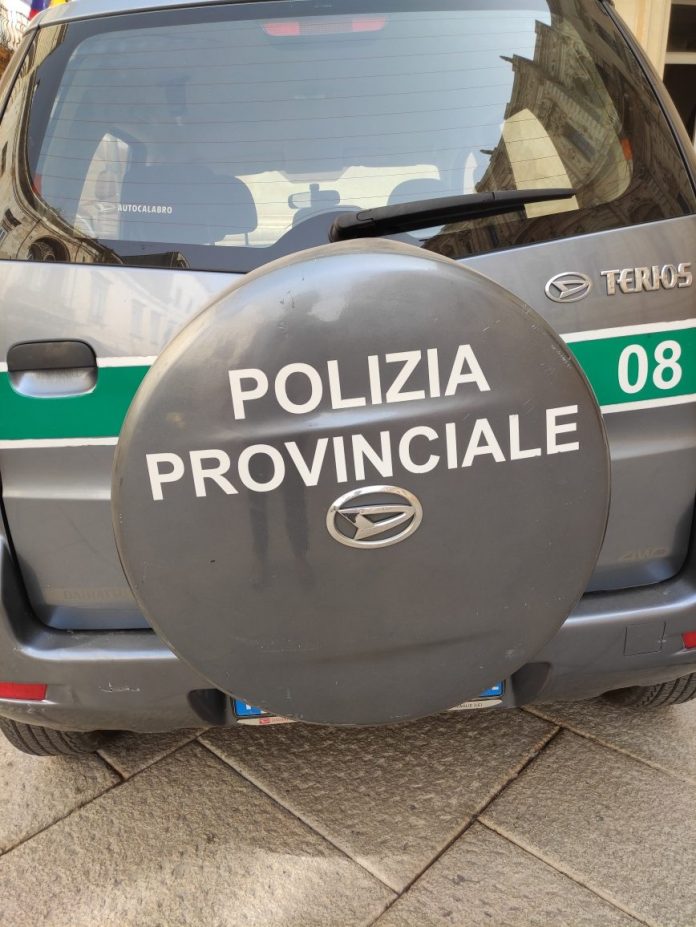 polizia prov