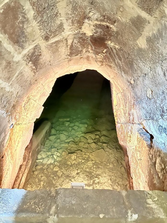Foto-1