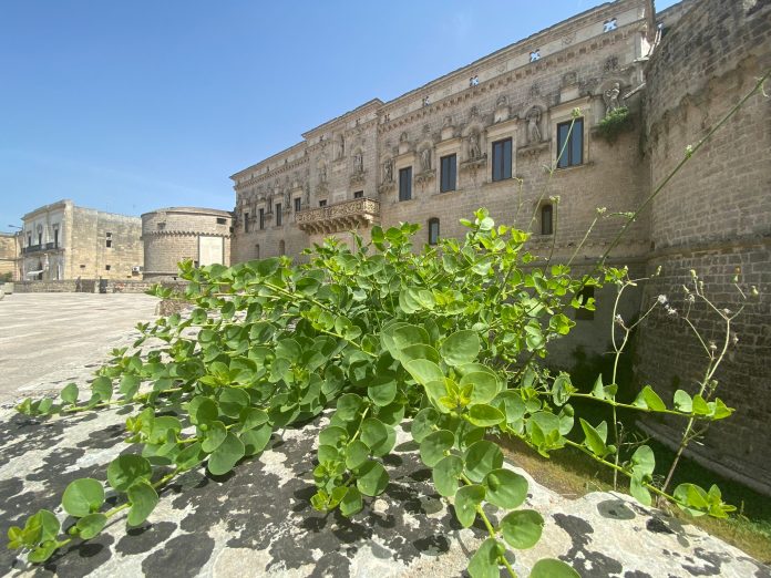 Castello Volante - esterno