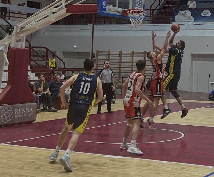 IMG_3342