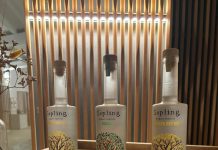 Sapling Spirits e Masseria Secolario: vivere bene tra sostenibilità e gusto. Un albero piantato per ogni bottiglia